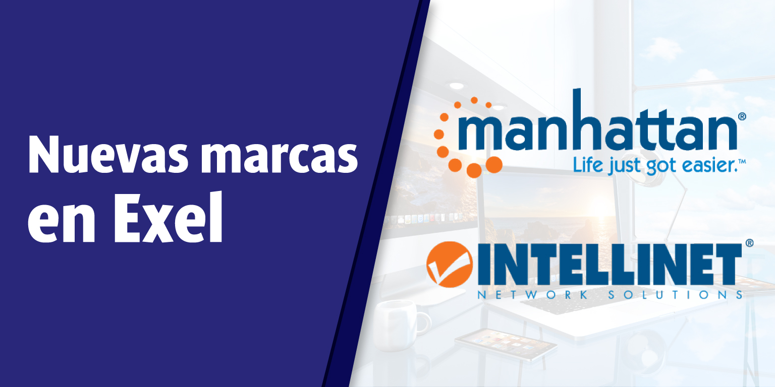 Ahora en Exel productos Manhattan e Intellinet